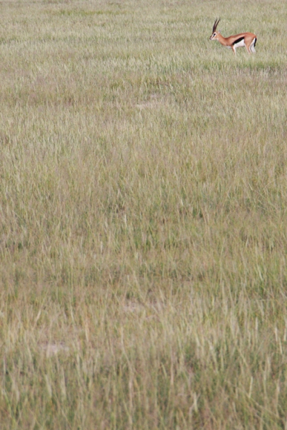 kenya_web_2012_014