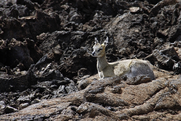 kenya_web_2012_021