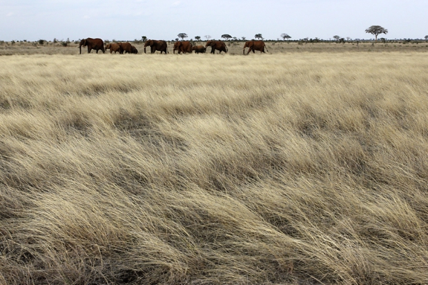 kenya_web_2012_032