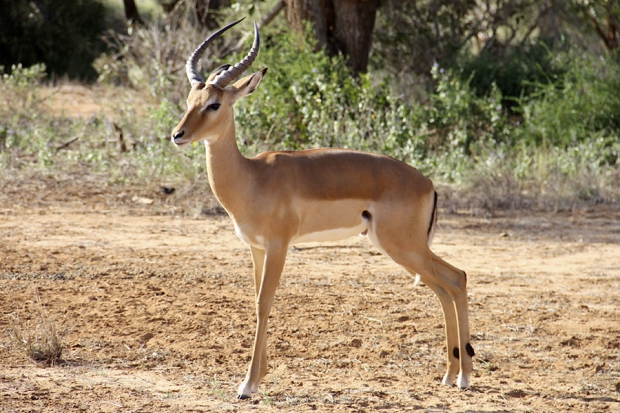 kenya_web_2012_038