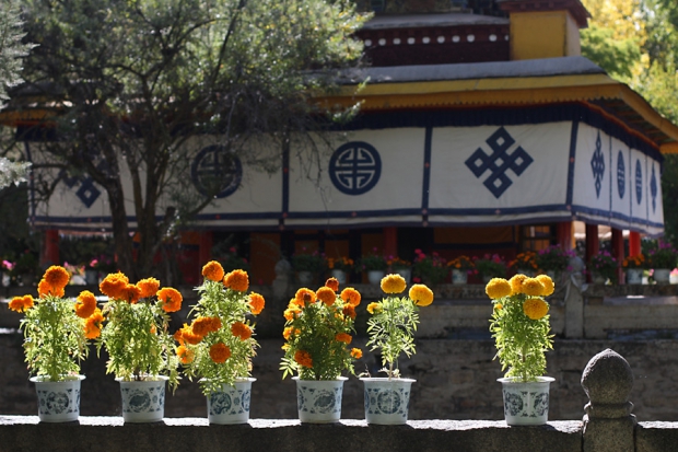 tibet_2013_026