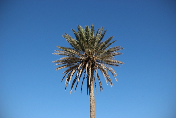 crete_2014_015